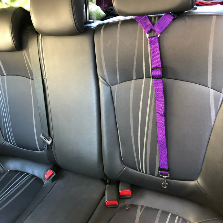 Adjustable Pet Car Seat Belt for Safe Travel with Dogs & Cats - Carmodza.com