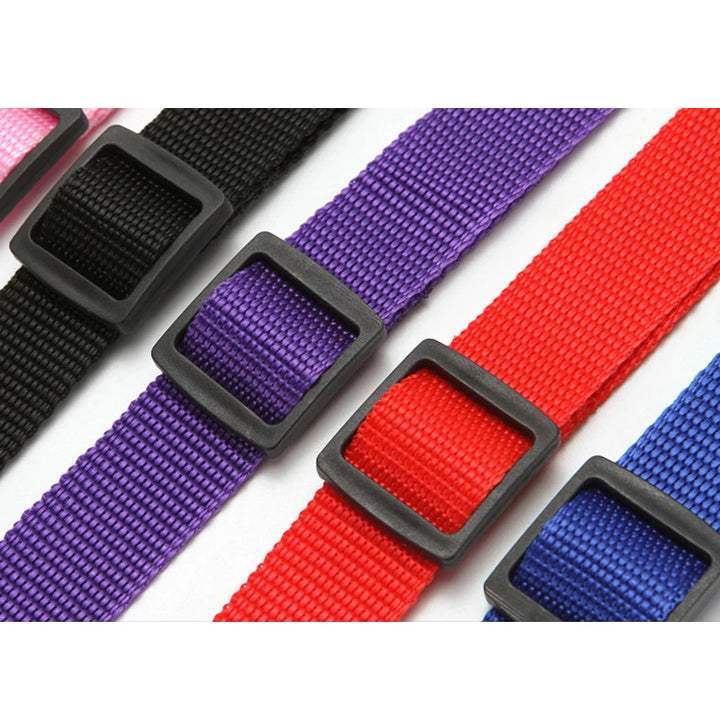 Adjustable Pet Car Seat Belt for Safe Travel with Dogs & Cats - Carmodza.com