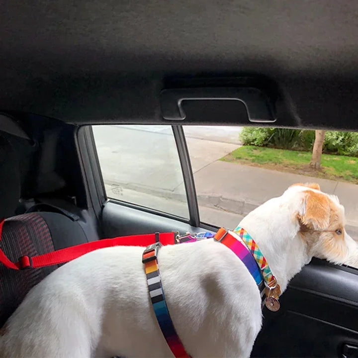 Adjustable Pet Car Seat Belt for Safe Travel with Dogs & Cats - Carmodza.com