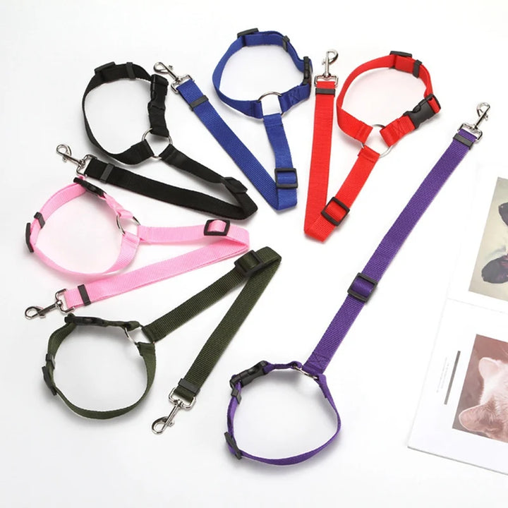 Adjustable Pet Car Seat Belt for Safe Travel with Dogs & Cats - Carmodza.com