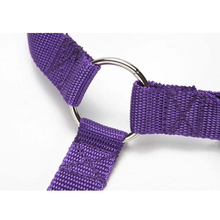 Adjustable Pet Car Seat Belt for Safe Travel with Dogs & Cats - Carmodza.com